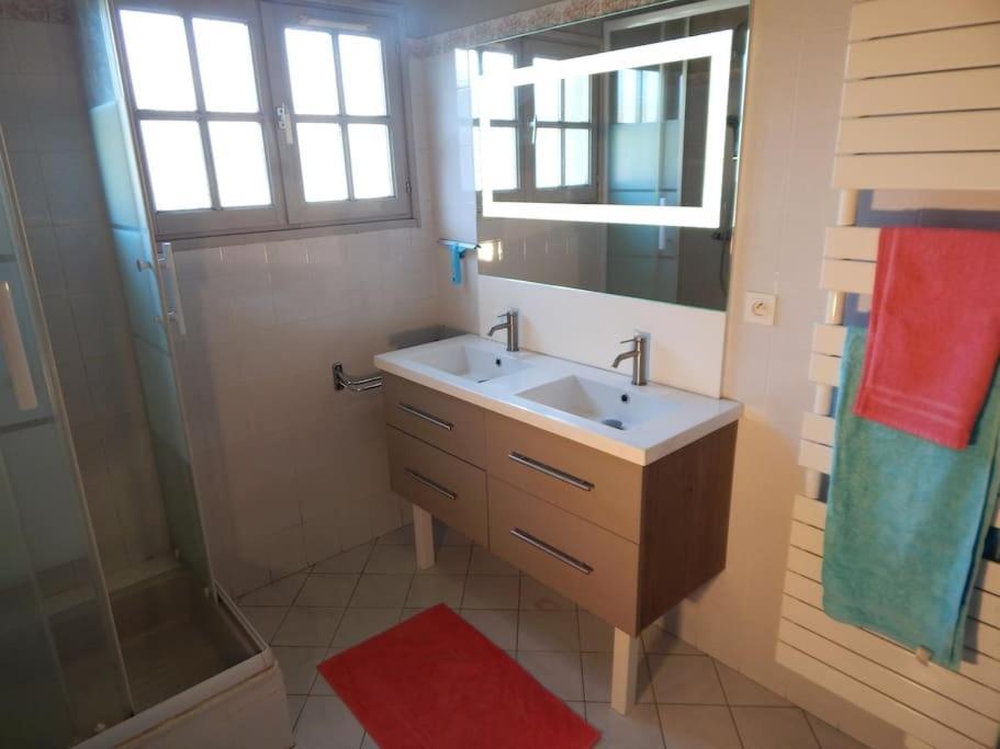 St Malo Maison Avec Jardin Proche Gare Plage Intramuros Chien Admis Parking Gratuit Saint-Malo Eksteriør billede